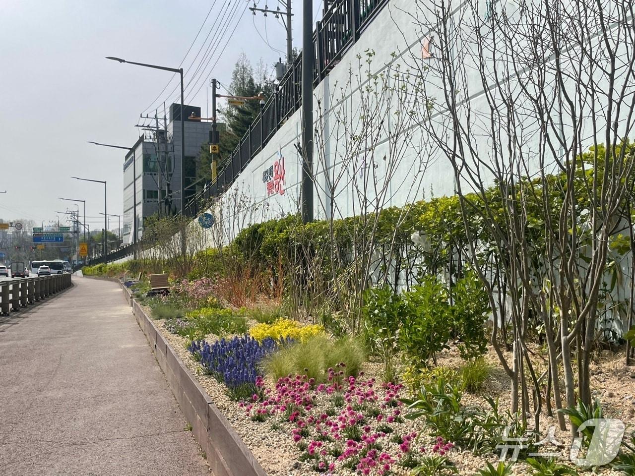 본문 이미지 - 매력정원 '빙고빙락'.(용산구 제공)