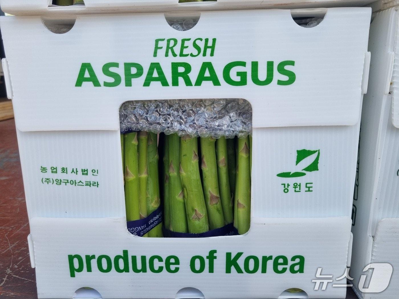 본문 이미지 - 양구 아스파라거스.(양구군 제공. 재판매 및 DB금지)/뉴스1