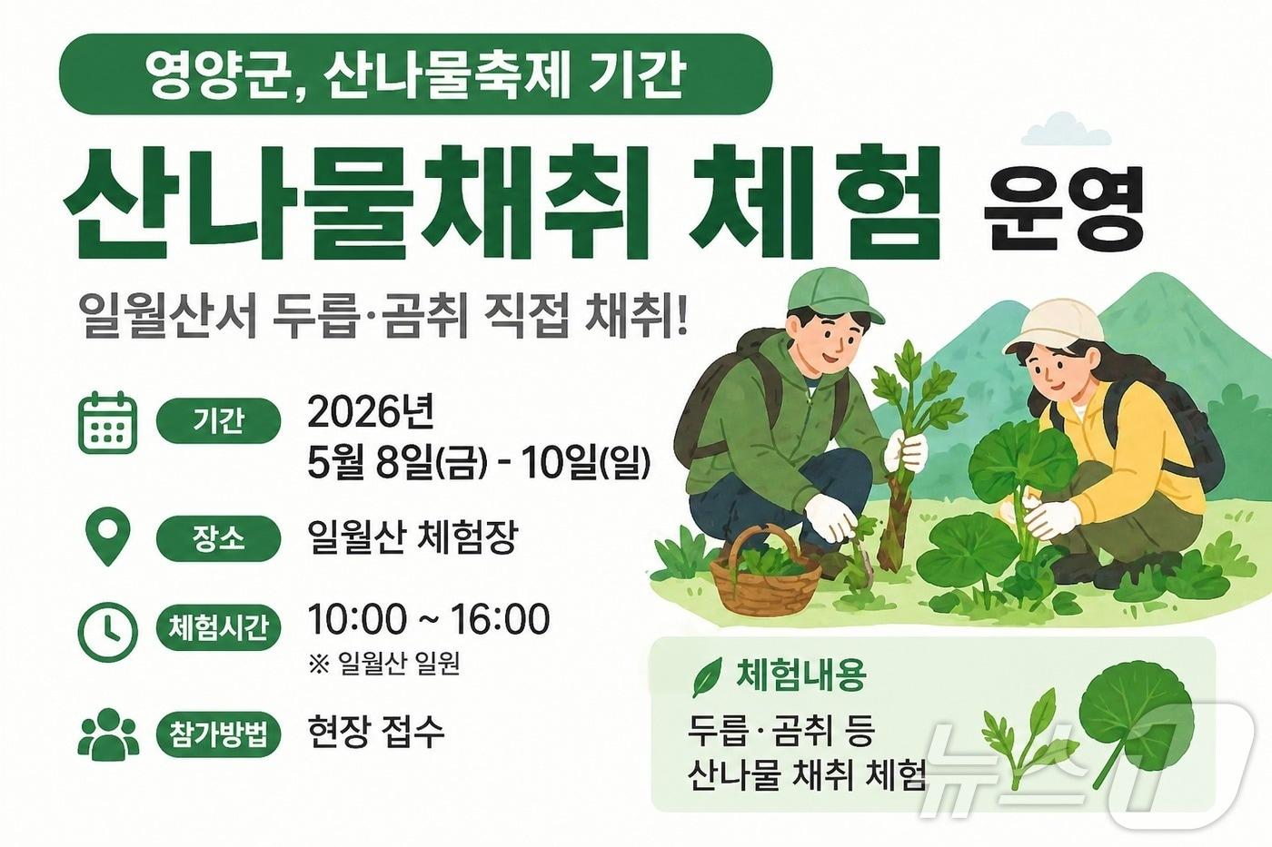 본문 이미지 - 경북 영양군은 28일 제21회 영양산나물축제 기간에 맞춰 ‘산나물채취체험행사’를 운영한다. /뉴스1