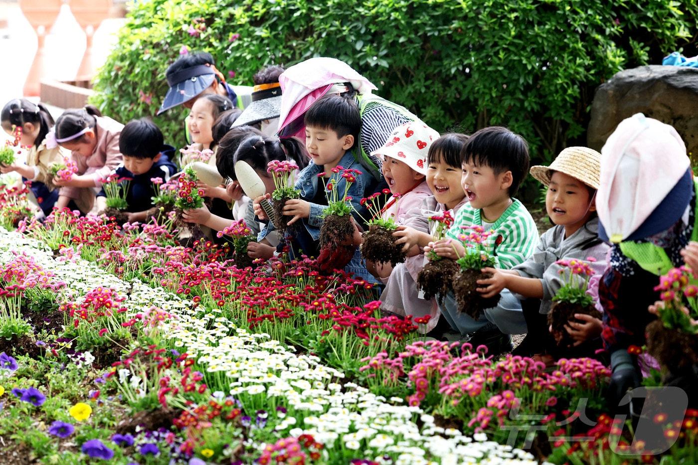 본문 이미지 - 28일 광주 북구청 광장에서 공원녹지과 직원들과 북구청 어린이집 아이들이 메리골드, 백일홍 등 여름꽃을 식재하고 있다. (광주 북구 제공. 재판매 및 DB 금지)