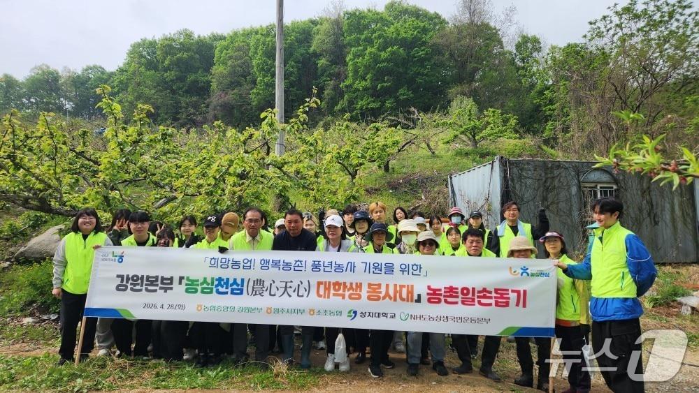 본문 이미지 - 영농 지원 활동.(강원농협 제공. 재판매 및 DB금지)/뉴스1