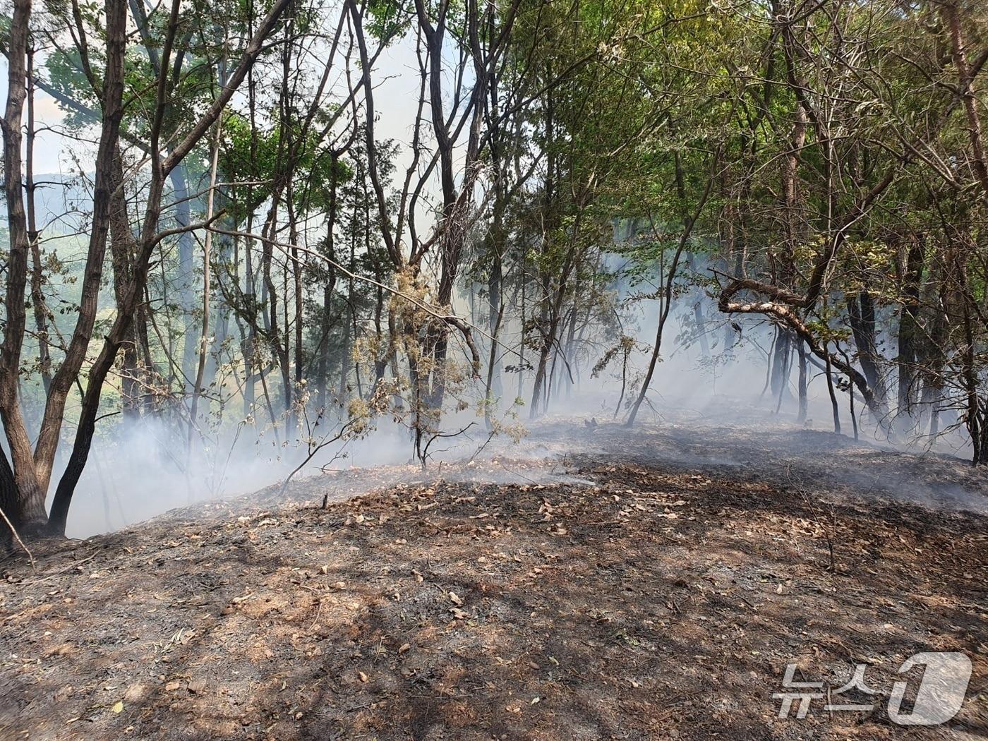 본문 이미지 -  공주 계룡면 내흥리 산불 현장. (공주소방서 제공, 재판매 및 DB금지) / 뉴스1