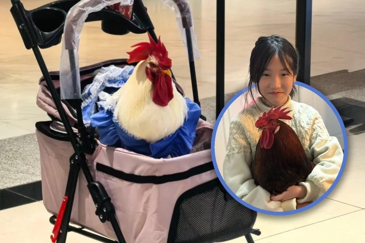 본문 이미지 - (SCMP 갈무리)