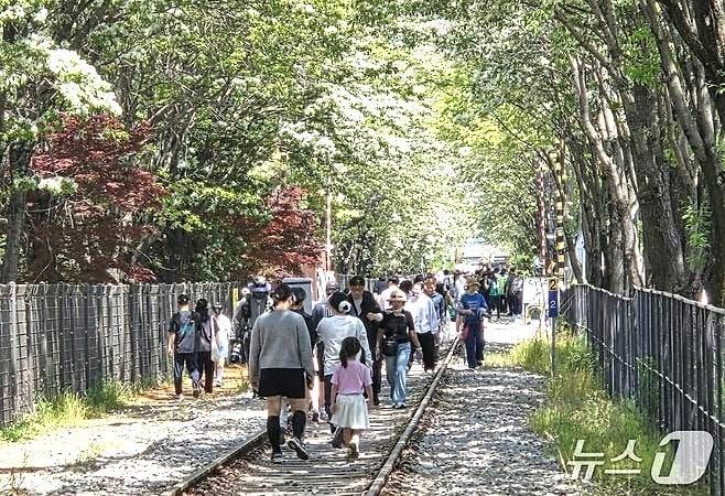 본문 이미지 - 4월 26일 오전 11시께 전북 전주시 덕진구 팔복예술공장 인근 철길에 이팝나무가 만개했다.2026.4.26/뉴스1 문채연 기자