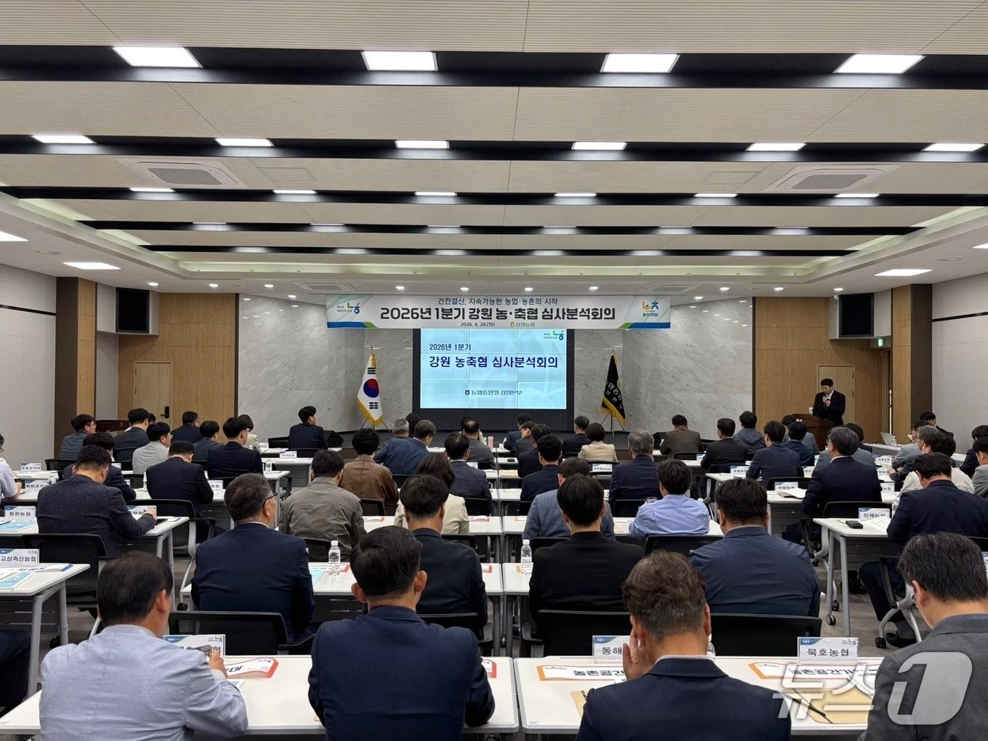 본문 이미지 - 강원 농축협 심사분석회의.(농협 강원본부 제공. 재판매 및 DB금지)/뉴스1