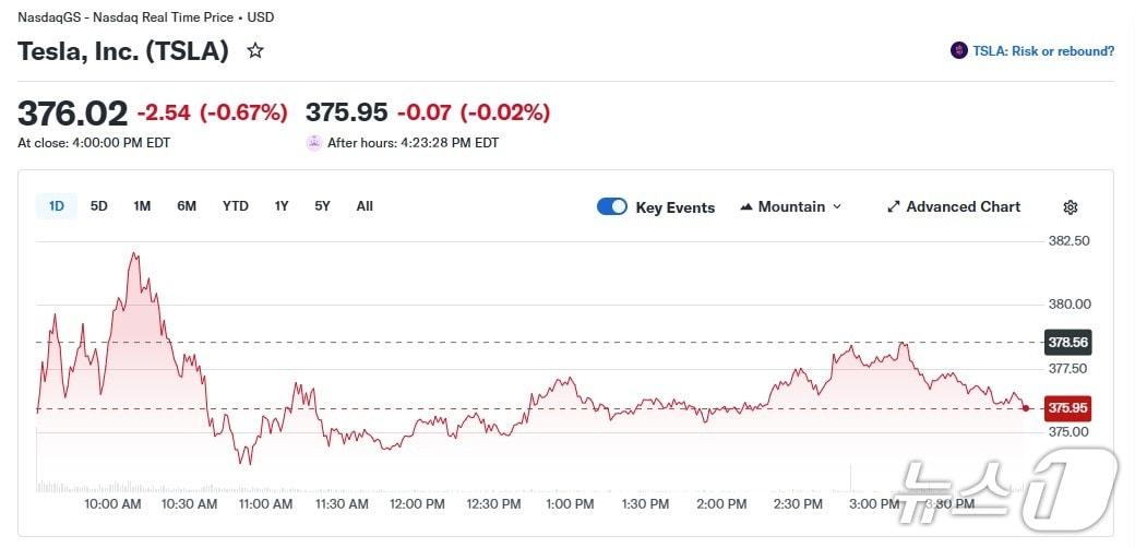 본문 이미지 - 테슬라 일일 주가 추이 - 야후 파이낸스 갈무리