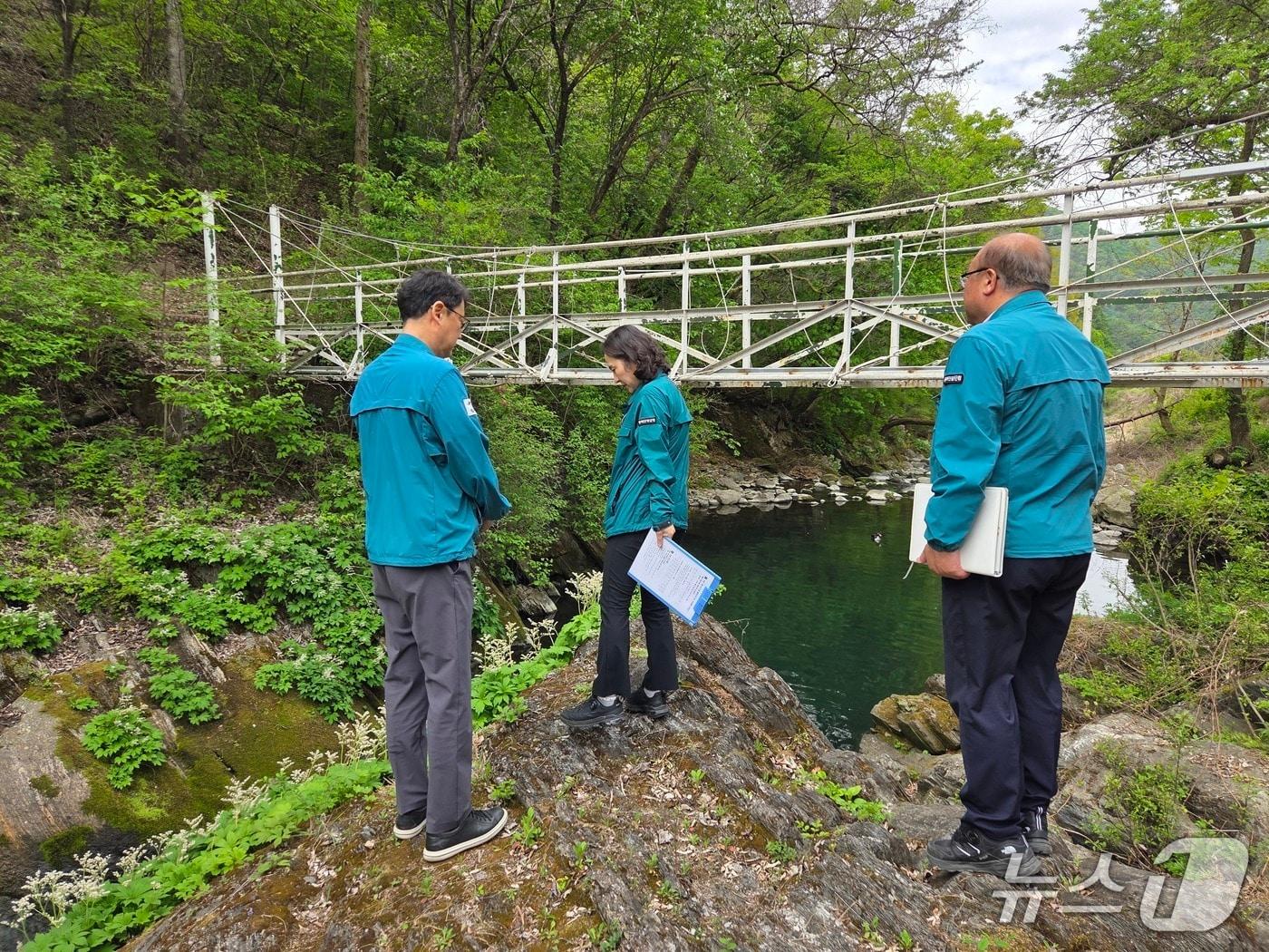 본문 이미지 - 단양군이 지역 하천과 계곡 등에서 불법 시설물 등을 점검하고 있다.(단양군 제공. 재판매 및 DB금지)  