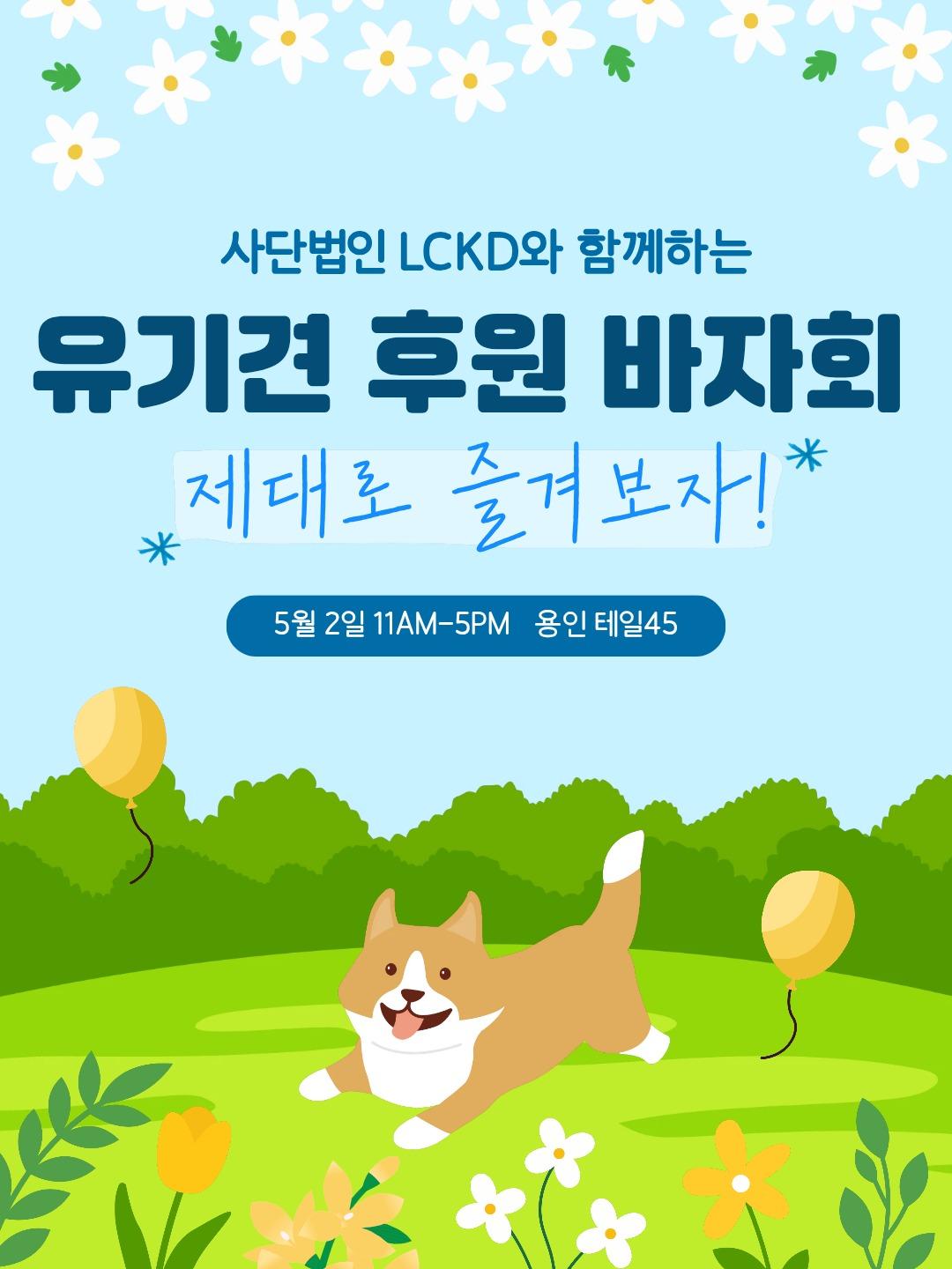 본문 이미지 - 유기동물 구조 단체 사단법인 엘씨케이디가 유기견 치료비 마련을 위한 바자회를 연다(LCKD 제공). ⓒ 뉴스1