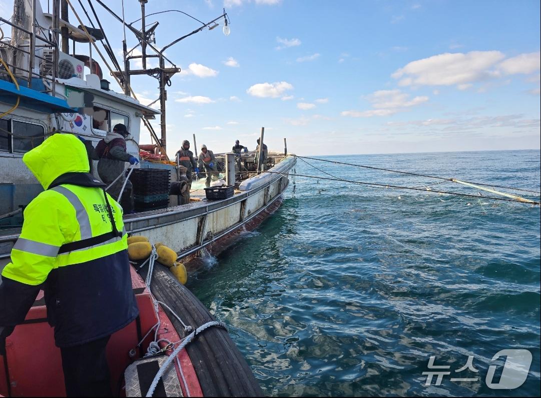 본문 이미지 - 지난해 관내 해역에서의 불법어업 단속 활동 모습(태안군 제공. 재판매 및 DB금지)2026.4.29/뉴스1