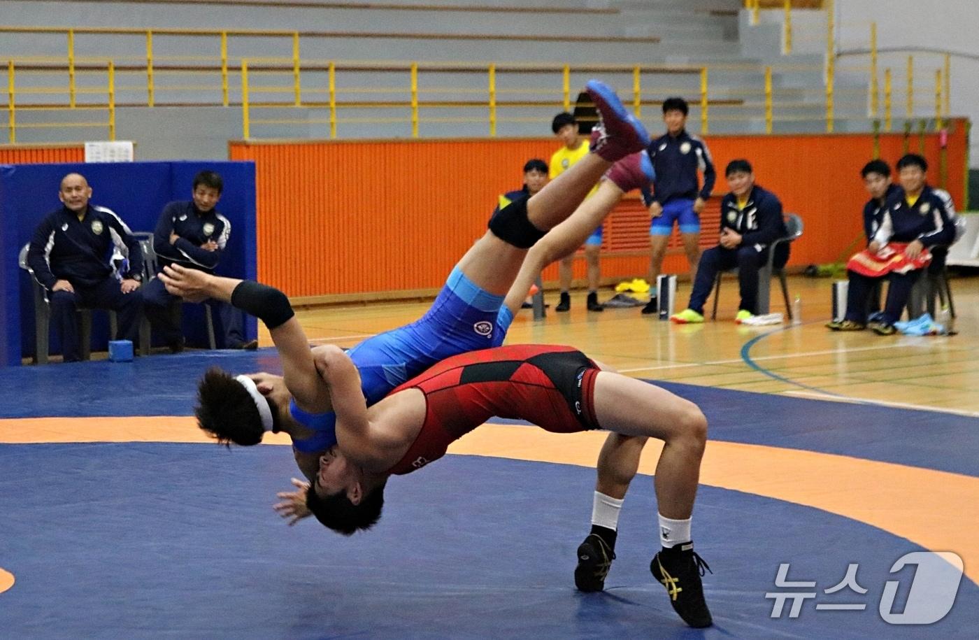 본문 이미지 - 레슬링 훈련 모습(괴산군 제공. 재판매 및 DB금지)