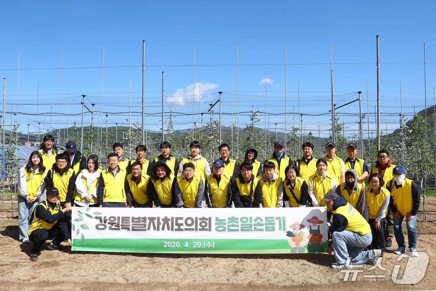 본문 이미지 - 농촌일손돕기.(강원도의회 제공. 재판매 및 DB금지)/뉴스1