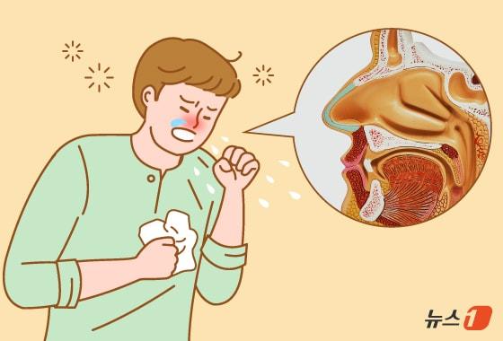 본문 이미지 - 스테로이드를 써도 나아지지 않고, 비염 수술을 받아도 얼마 지나지 않아 증상이 돌아온다면 단순 코막힘이 아닐 수 있다. 많은 환자가 일상 속 불편을 감내하고 있는 질환 중 하나가 '비용종 동반 만성 비부비동염'이다. ⓒ 뉴스1 김지영 디자이너