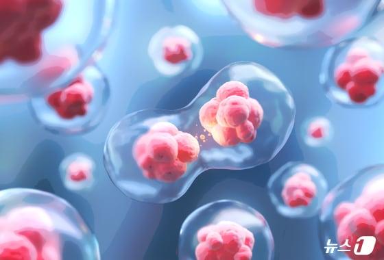 본문 이미지 - ⓒ 뉴스1 양혜림 디자이너