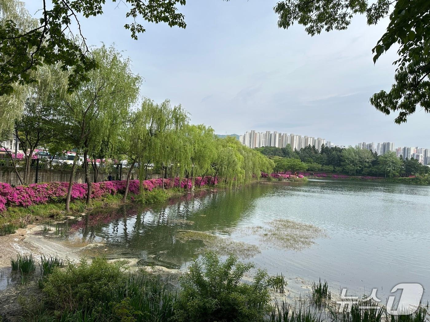 본문 이미지 -  충주 호암지 봄 풍경.2026.4.27/뉴스1