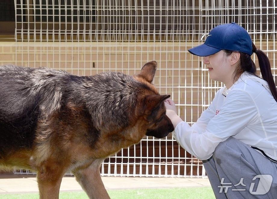 본문 이미지 - 로얄캐닌 임직원은 4월 동물보호소 봉사활동을 진행했다(로얄캐닌 제공). ⓒ 뉴스1
