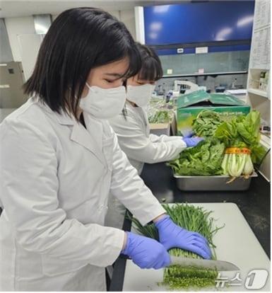 본문 이미지 - 대전보건환경연구원 검사 모습 (연구원 제공) / 뉴스1