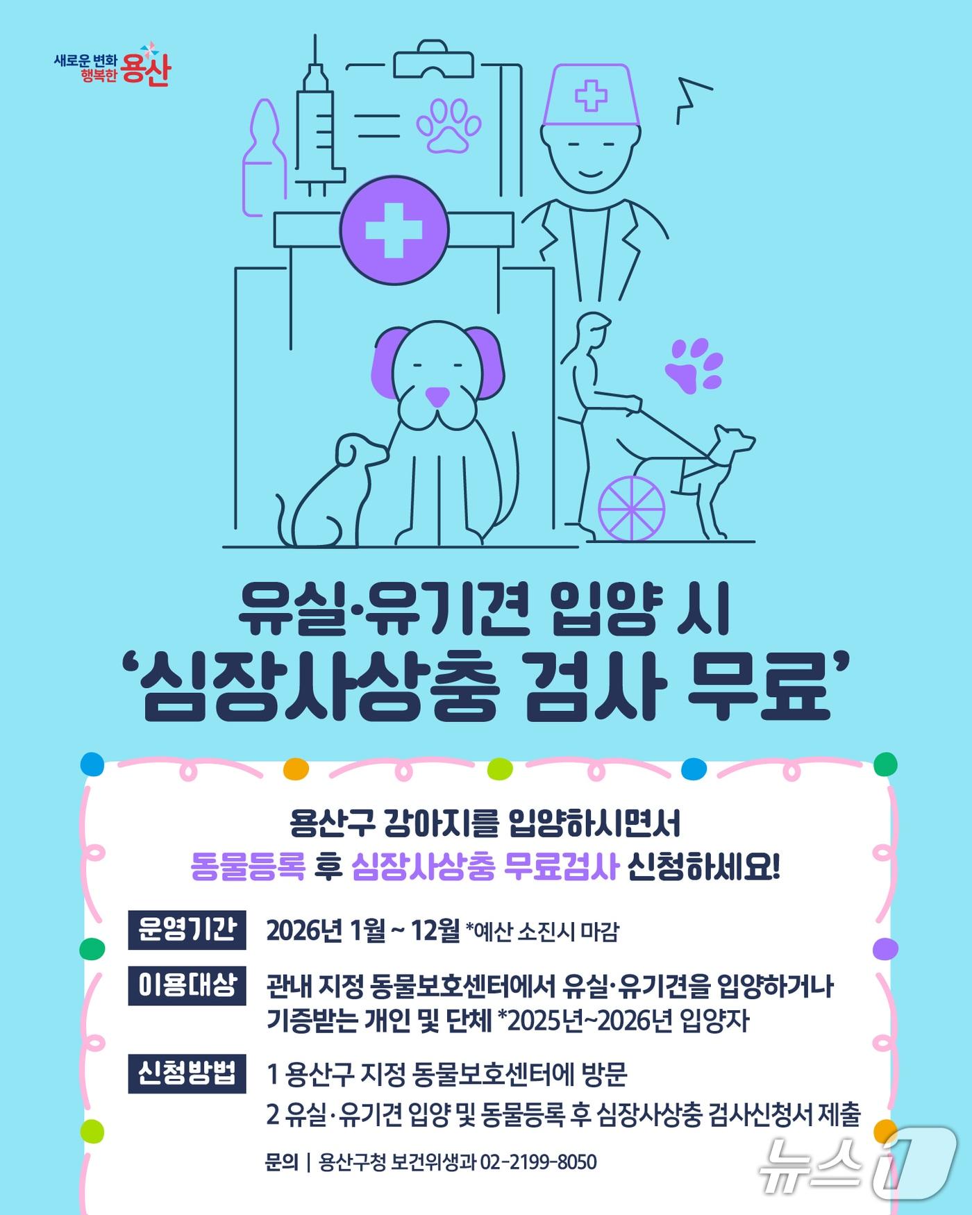 본문 이미지 - 심장사상충 무료 검사 안내.(용산구 제공)