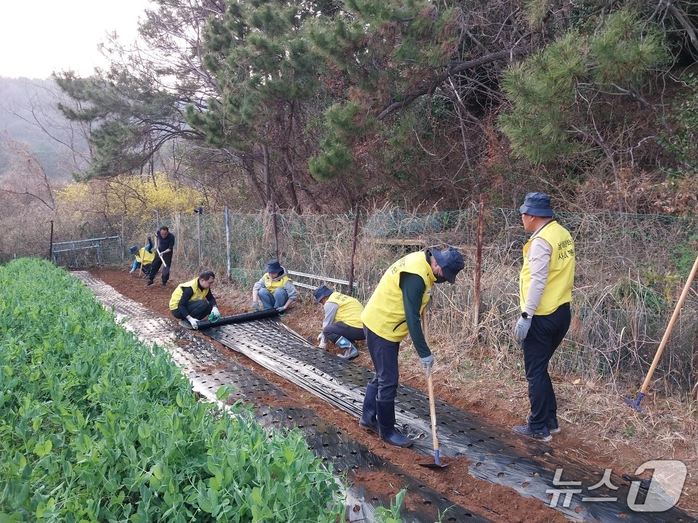 본문 이미지 - 남해화학 사회봉사단이 어르신 공동생활가정인 '예리고의집'을 방문해 텃밭조성 봉사활동을 진행하고 있다. (남해화학 제공. 재판매 및 DB금지)