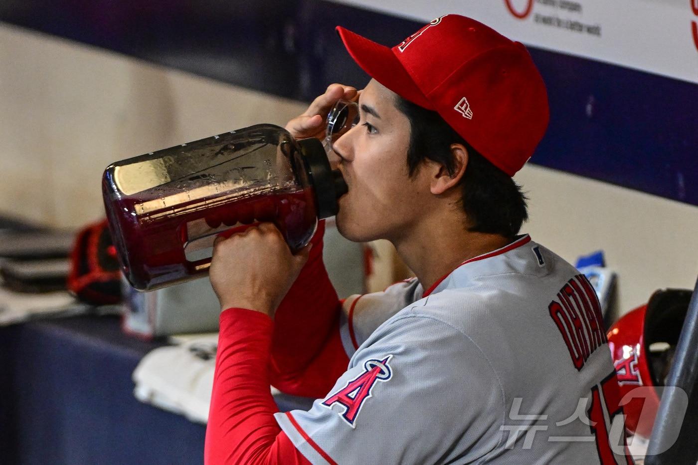 본문 이미지 - LA다저스에서 뛰고 있는 오타니 쇼헤이가 지난 2023년 로스앤젤레스 에인절스 시절 아메리칸 패밀리 필드에서 열린 밀워키 브루어스와의 경기 전 텀블러로 물을 마시고 있다. ⓒ 로이터=뉴스1