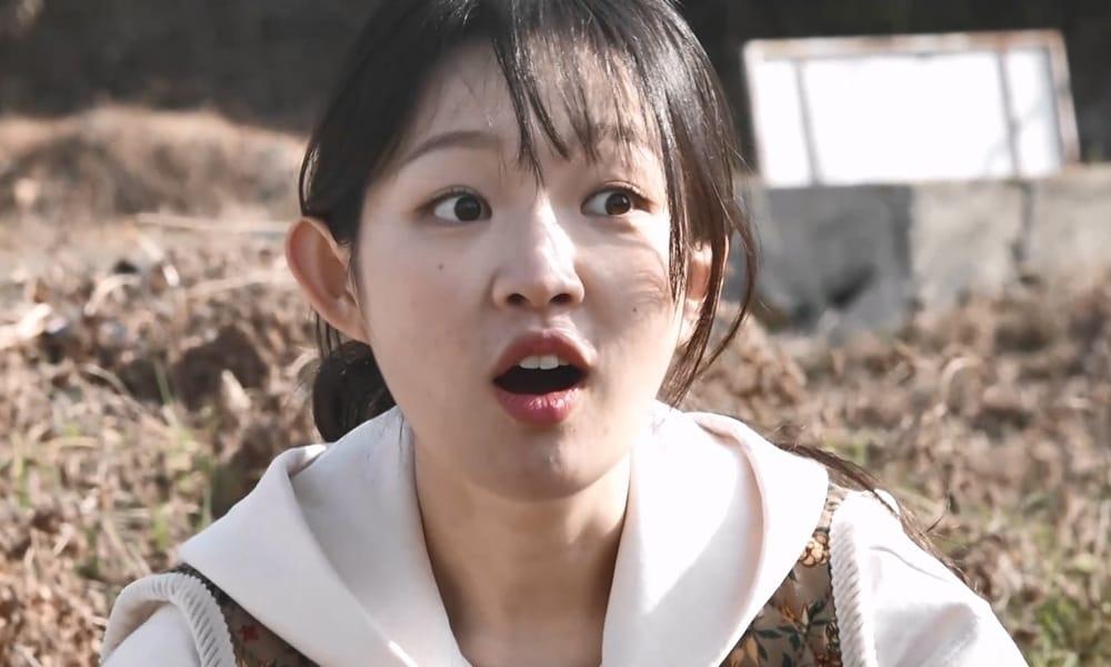 본문 이미지 - MBC