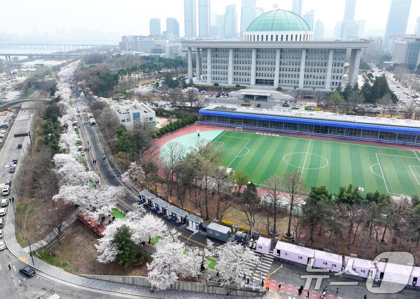 본문 이미지 - '여의도 봄꽃축제'가 시작된 3일 서울 여의서로 일대에 벚꽃이 만개해 있다. 2026년 여의도 봄꽃축제는 이날부터 7일까지 5일간 개최된다. 2026.4.3 ⓒ 뉴스1 최지환 기자