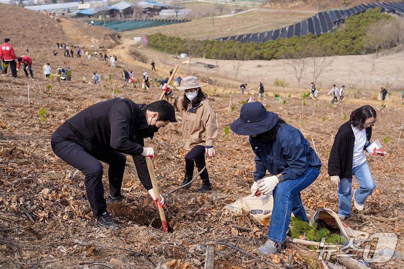 본문 이미지 - 증평군 식목일 나무심기 행사.(증평군 제공. 재판매 및 DB금지)
