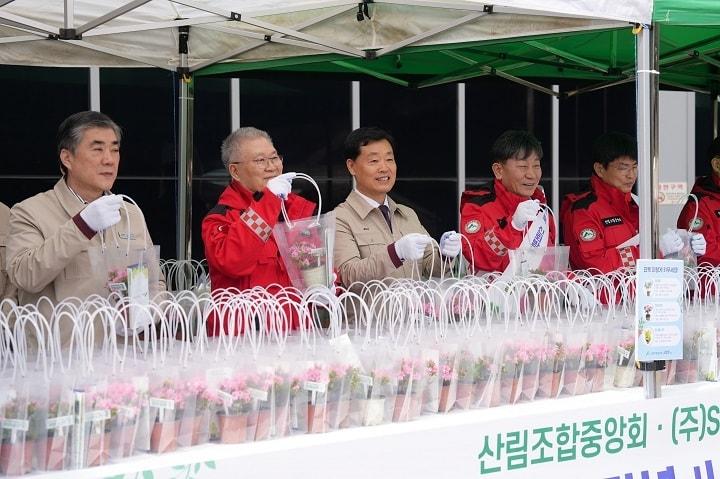 본문 이미지 - SR 내 나무갖기 캠페인 모습.(SR 제공)뉴스1ⓒ news1