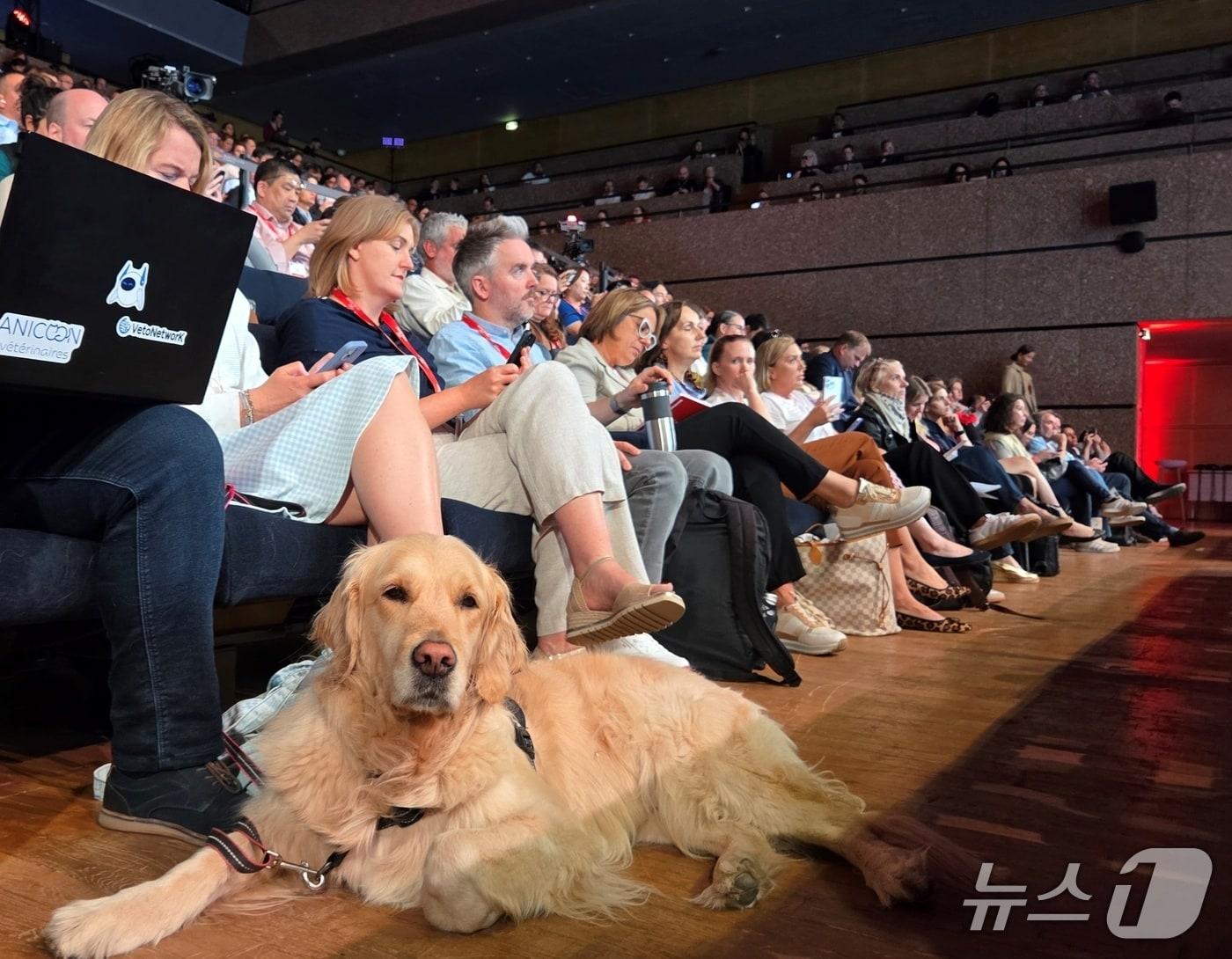 본문 이미지 - 로얄캐닌은 29일(현지시간) 프랑스 몽펠리에 르 코룸에서 '2026 벳 심포지엄'을 열었다. ⓒ 뉴스1