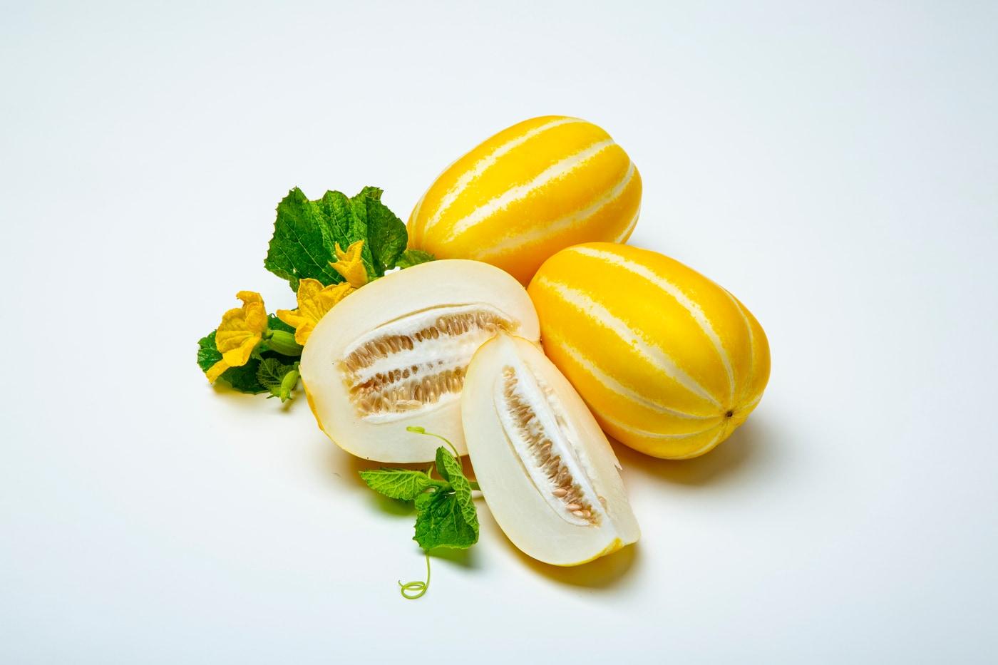 본문 이미지 - 클립아트코리아