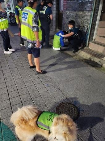 본문 이미지 - 진풍이 취객 신고(서울시 제공)