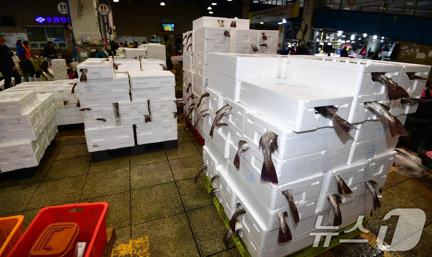 본문 이미지 - 입하를 닷새 앞둔 30일 경북 포항죽도어시장 위판장에 겨울철 대표 생선인 대구를 담은 포장용기가 가득 쌓여 있다.  어민과 상인들은 "11월부터 2월까지 많이 잡히는 대구가 올해는 철이 한참 지났는데도 잡힌다"고 했다. /2026.4.30 ⓒ 뉴스1 최창호 기자