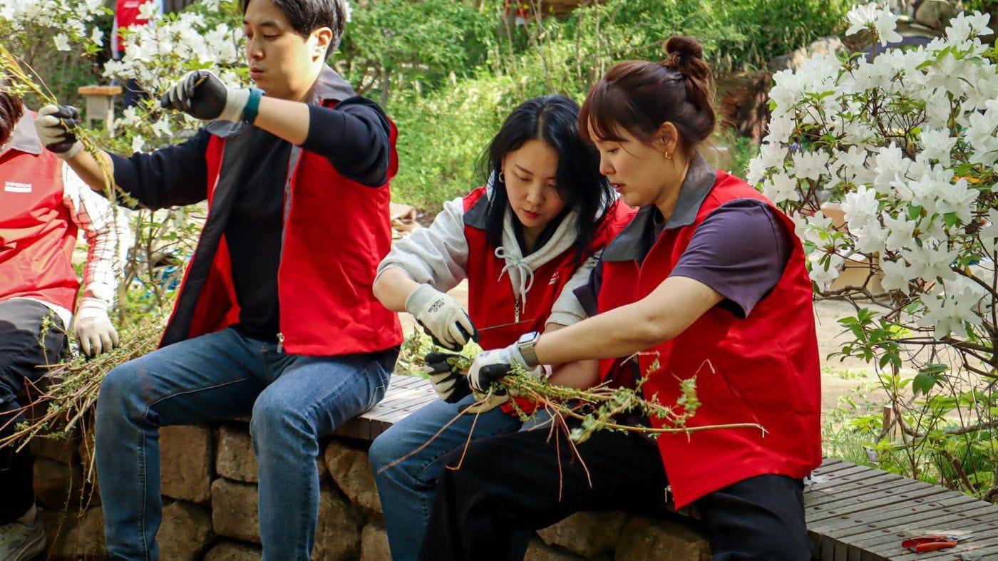본문 이미지 - (신세계라이브쇼핑 제공)