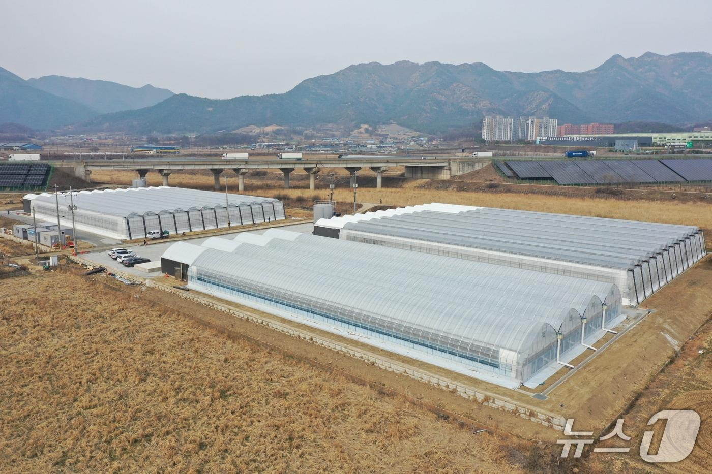 본문 이미지 - 보은군 귀농·귀촌 스마트 경영실습농장 (옥천군 제공.재판매 및 DB금지)