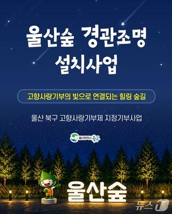 본문 이미지 - 울산숲 경관조명 조성사업 포스터(울산 북구 공식 SNS 갈무리. 재판매 및 DB금지)/뉴스1