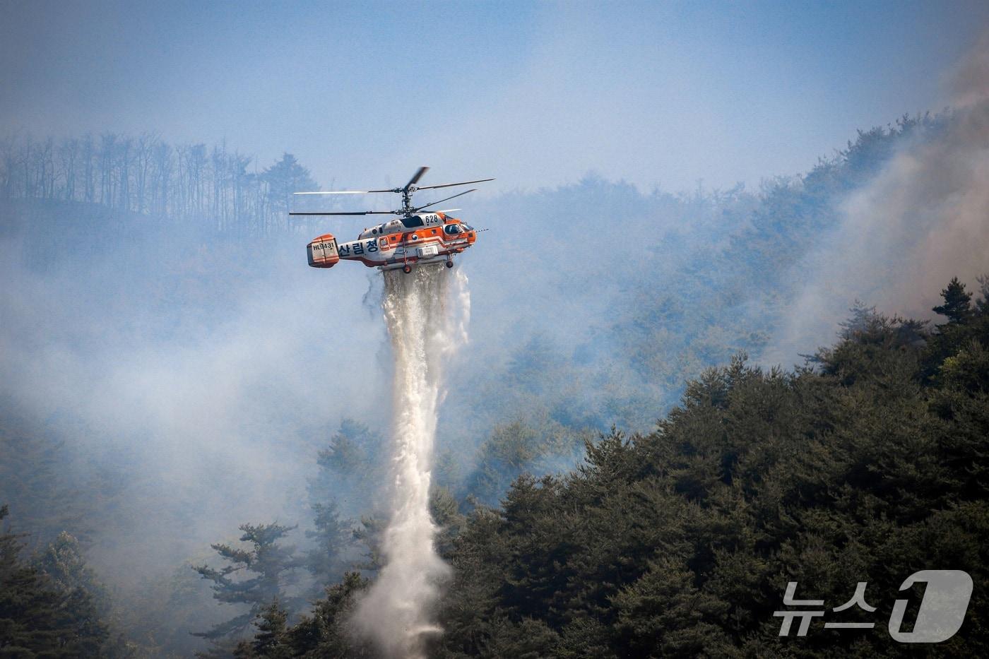 본문 이미지 - 산불을 진화 중인 카모프 산불진화헬기(산림청 제공·재판매 및 DB금지)/뉴스1