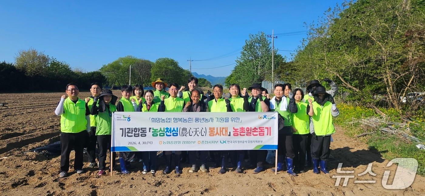 본문 이미지 - 농협 강원본부·LX 강원본부, 영농철 '농심천심' 합동 일손돕기.(농협 강원본부 제공. 재판매 및 DB금지)/뉴스1