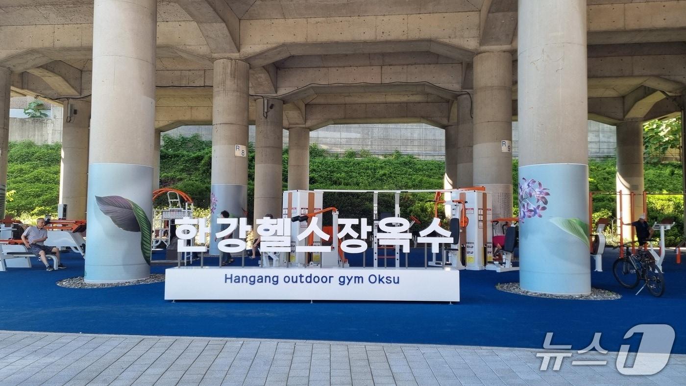 본문 이미지 - 서울 성동구 옥수 한강공원 '한강 헬스장' 전경.(서울시 제공)