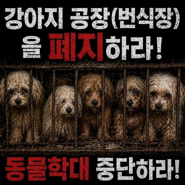 본문 이미지 - 한국동물보호연합 제공 ⓒ 뉴스1