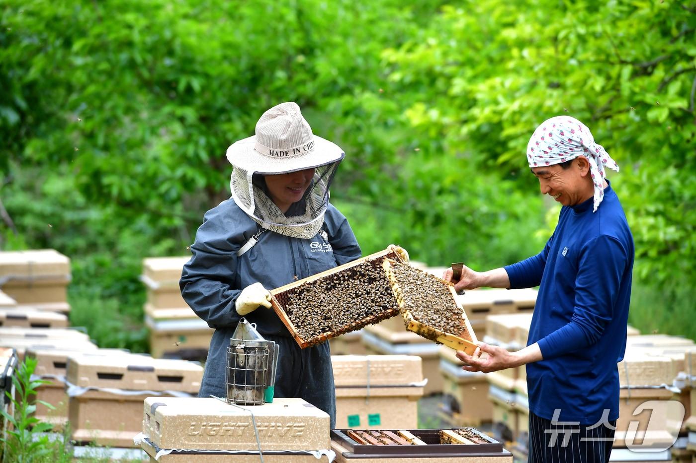 본문 이미지 - (사진은 기사 내용과 무관함) / 뉴스1