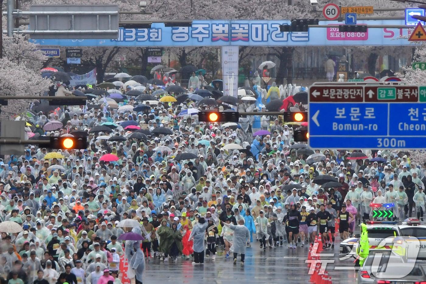 본문 이미지 - 4일 경북 경주시 보문단지에서 열린 제33회 경주벚꽃미라톤 대회에서 참가자들이 출발 신호에 맞춰 힘차게 달리고 있다. 2026.4.4 ⓒ 뉴스1 최창호 기자