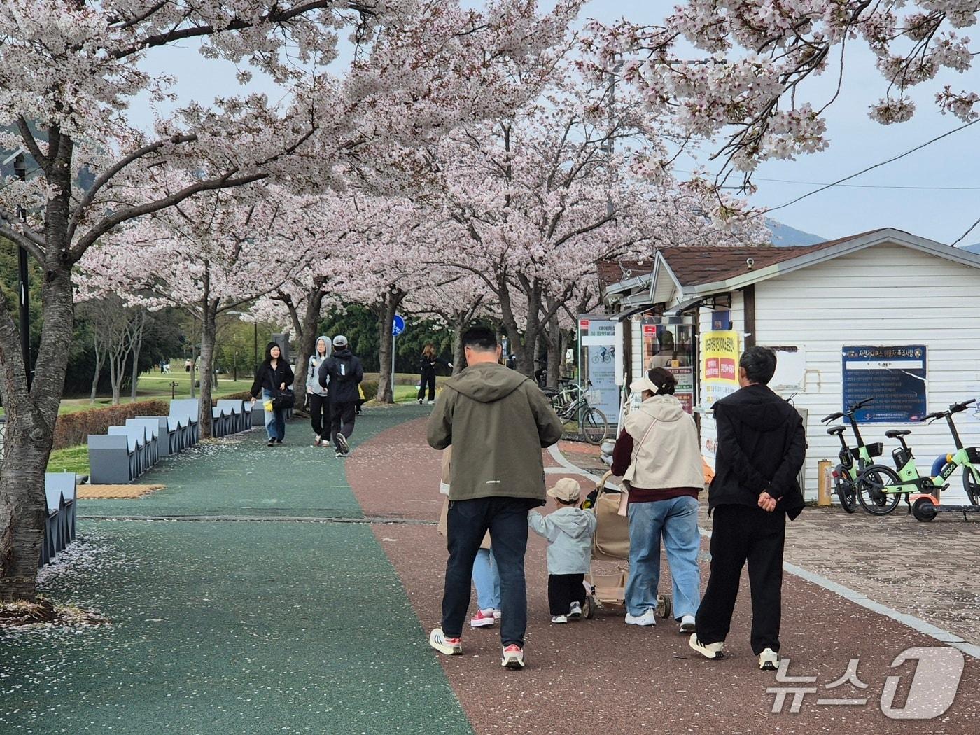 본문 이미지 - 울산 시민들이 5일 태화강국가정원에서 산책하고 있다. 2026.4.5ⓒ 뉴스1 박정현 기자