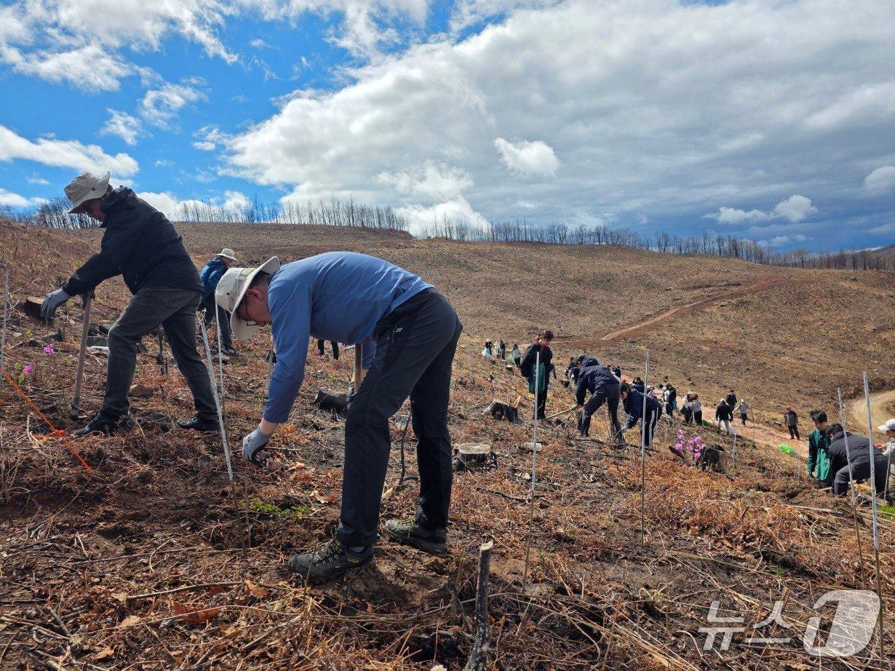 본문 이미지 - SKT와 유한킴벌리 임직원·가족 100여 명이 안동 산불 피해 지역에서 나무심기 활동을 하고 있는 모습. 2026.04.05/뉴스1(SKT 제공)
