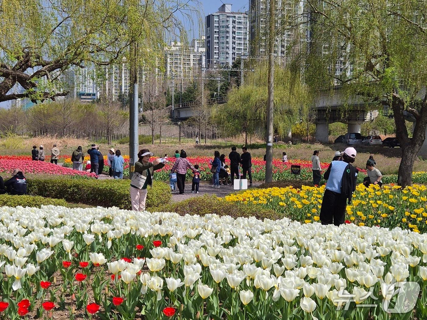 본문 이미지 - 부산 북구 화명생태공원 플라워가든. 2026.4.5/뉴스1 ⓒ News1 임순택 기자