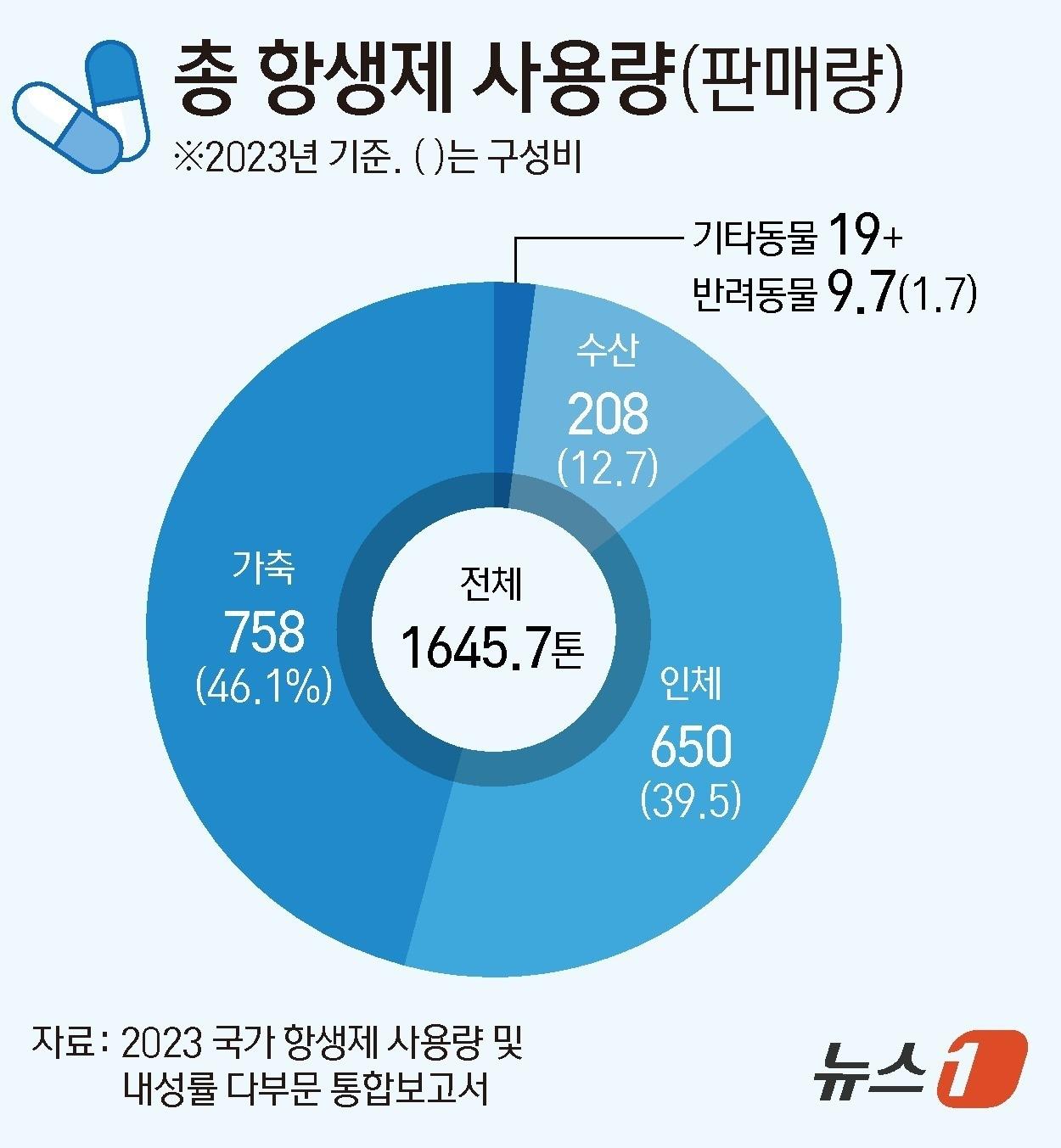 본문 이미지 - ⓒ 뉴스1 김지영 디자이너