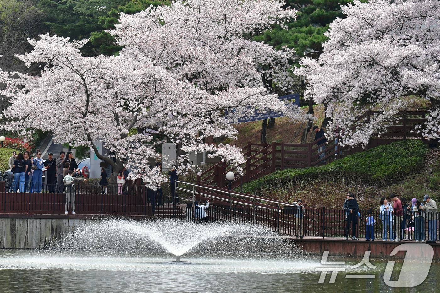 본문 이미지 - 경북 포항시 남구 지곡동 영일대 호수공원에 모습.2026.4.5 ⓒ 뉴스1 최창호 기자