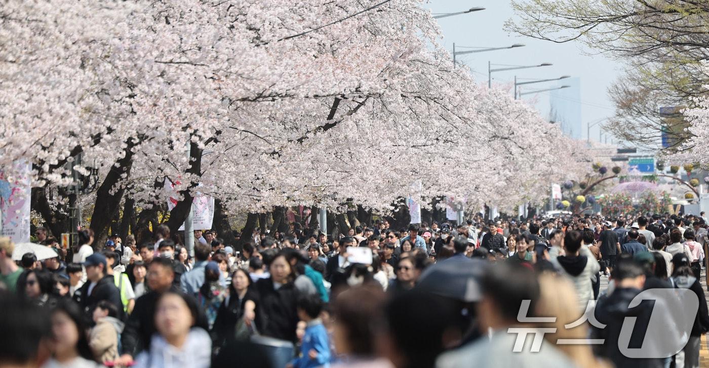 본문 이미지 - 5일 오후 서울 영등포구 윤중로 여의도 봄꽃축제를 찾은 시민들이 벚꽃길을 걸으며 봄날씨를 만끽하고 있다. 2026.4.5 ⓒ 뉴스1 박지혜 기자
