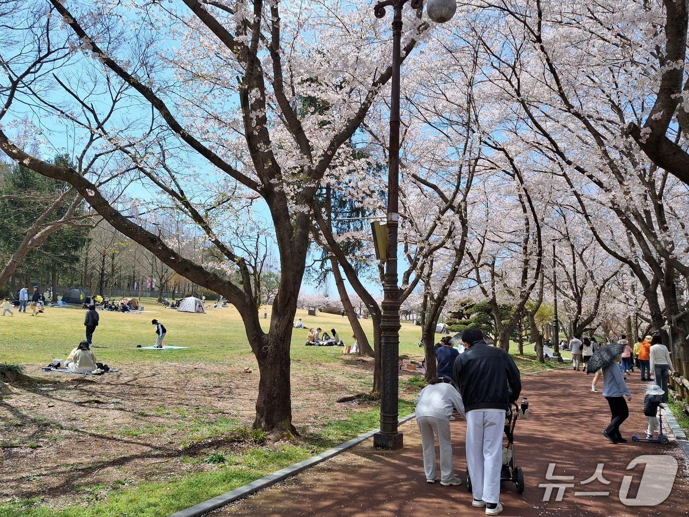 본문 이미지 - 광주 우치공원에 상춘객들의 발길이 이어지고 있는 모습.2026.4.5/뉴스1
