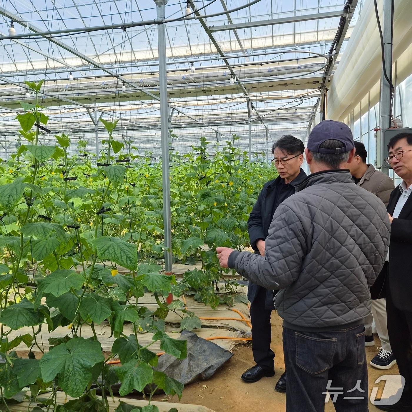 본문 이미지 - 중동 정세 악화에 따른 농어업 비상 대응반 현장 점검 모습.(경기도 제공. 재판매 및 DB금지)