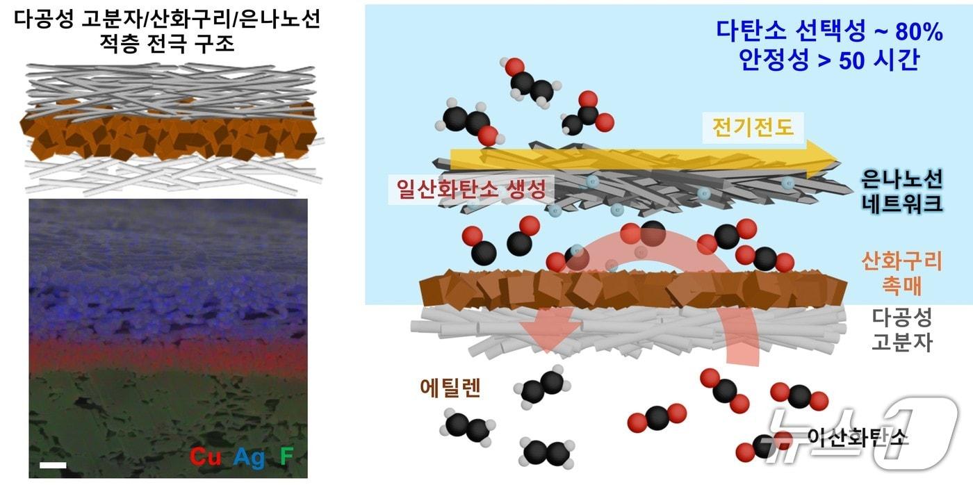 본문 이미지 - 다공성 고분자산화구리 촉매은 나노선 네트워크 전극 구조 모식도(KAIST 제공) /뉴스1