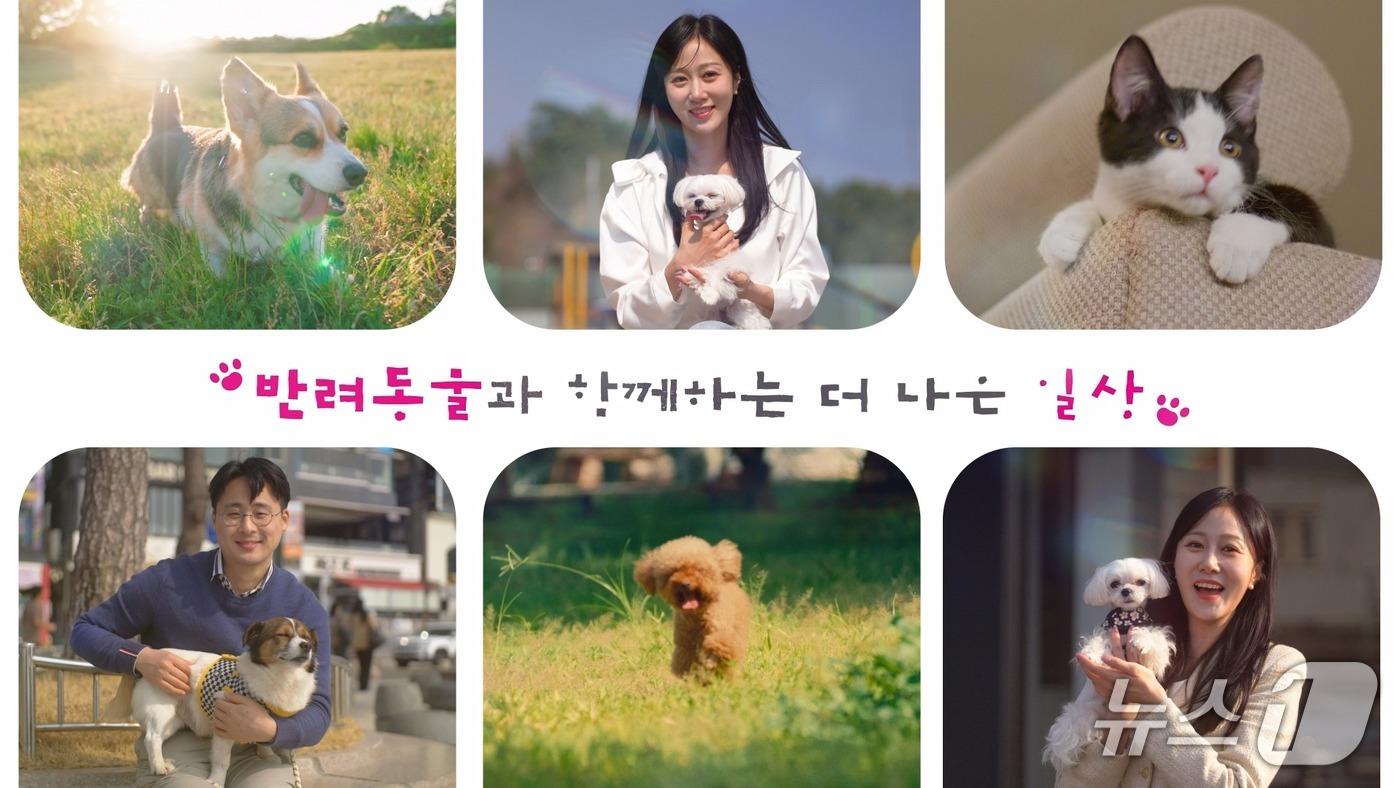 본문 이미지 - 캠페인 홍보 스틸컷.(부산시 제공. 재판매 및 DB금지)